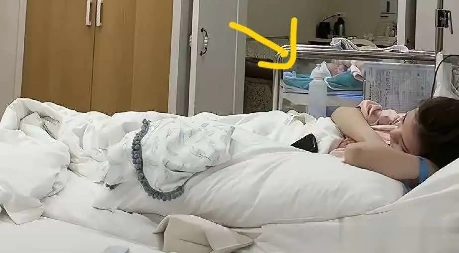 _马筱楠搜狐_马筱楠百科百度