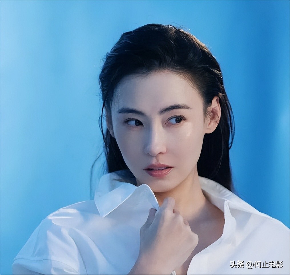 _芝柏历史_芝柏品牌怎么样