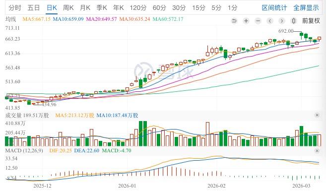 _残酷的假象，带血的恐慌_残酷的假象，带血的恐慌