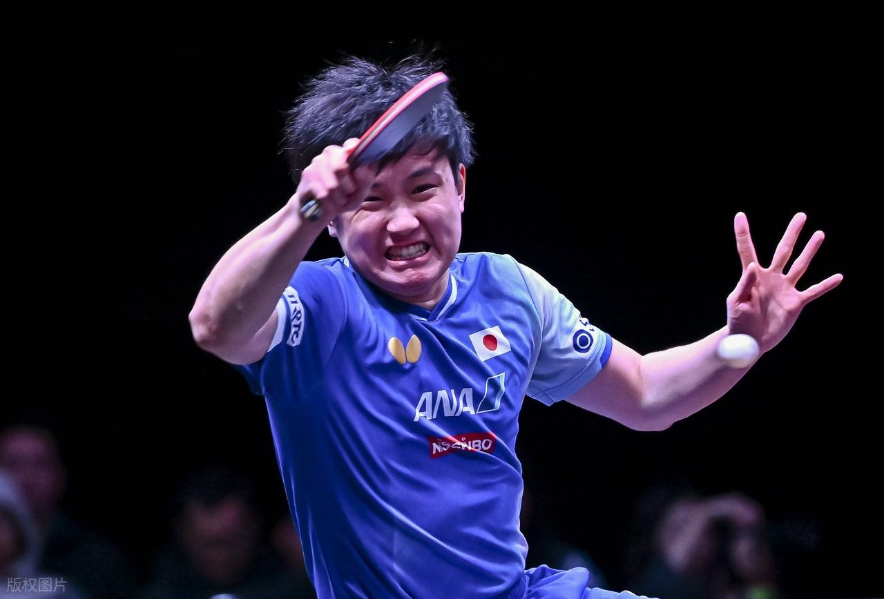 _男单战况_男单打法