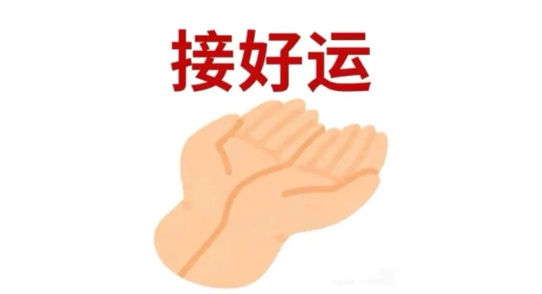 香奈儿2021只有一个人看秀__香奈儿封面女郎