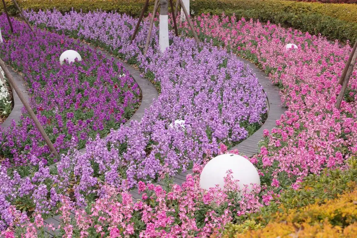 想你是我戒不掉的瘾美文_性瘾难戒还是烟瘾难戒_