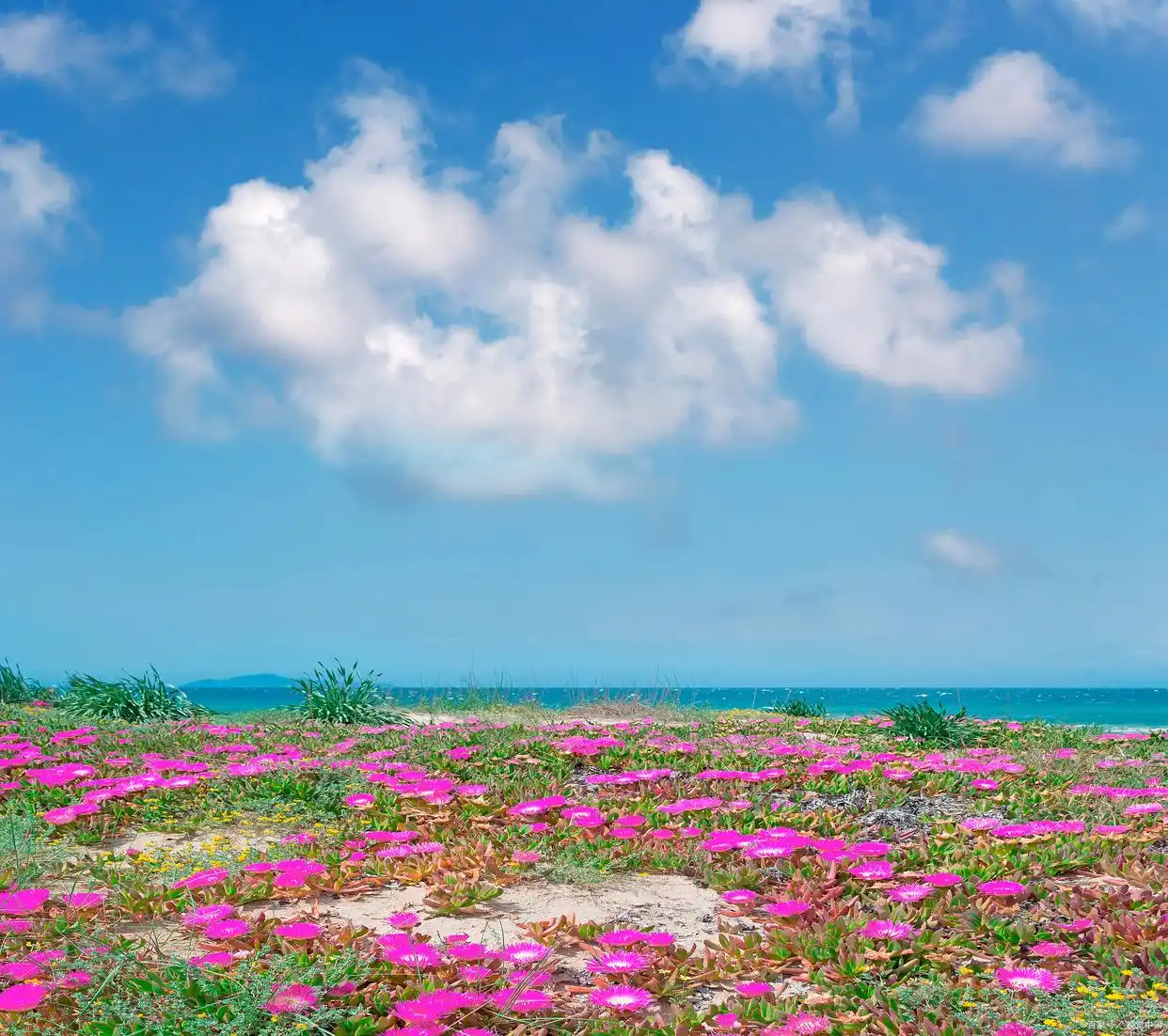 _性瘾难戒还是烟瘾难戒_想你是我戒不掉的瘾美文