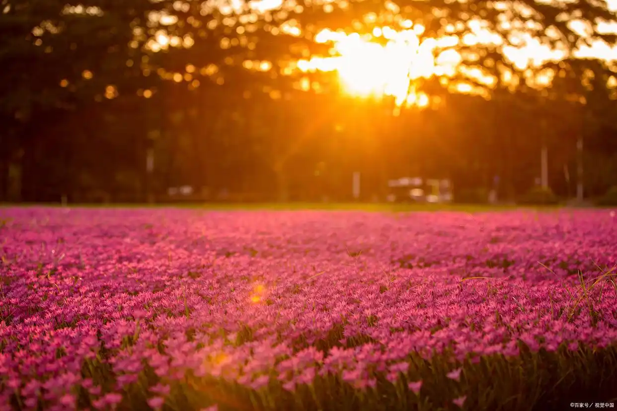 _性瘾难戒还是烟瘾难戒_想你是我戒不掉的瘾美文