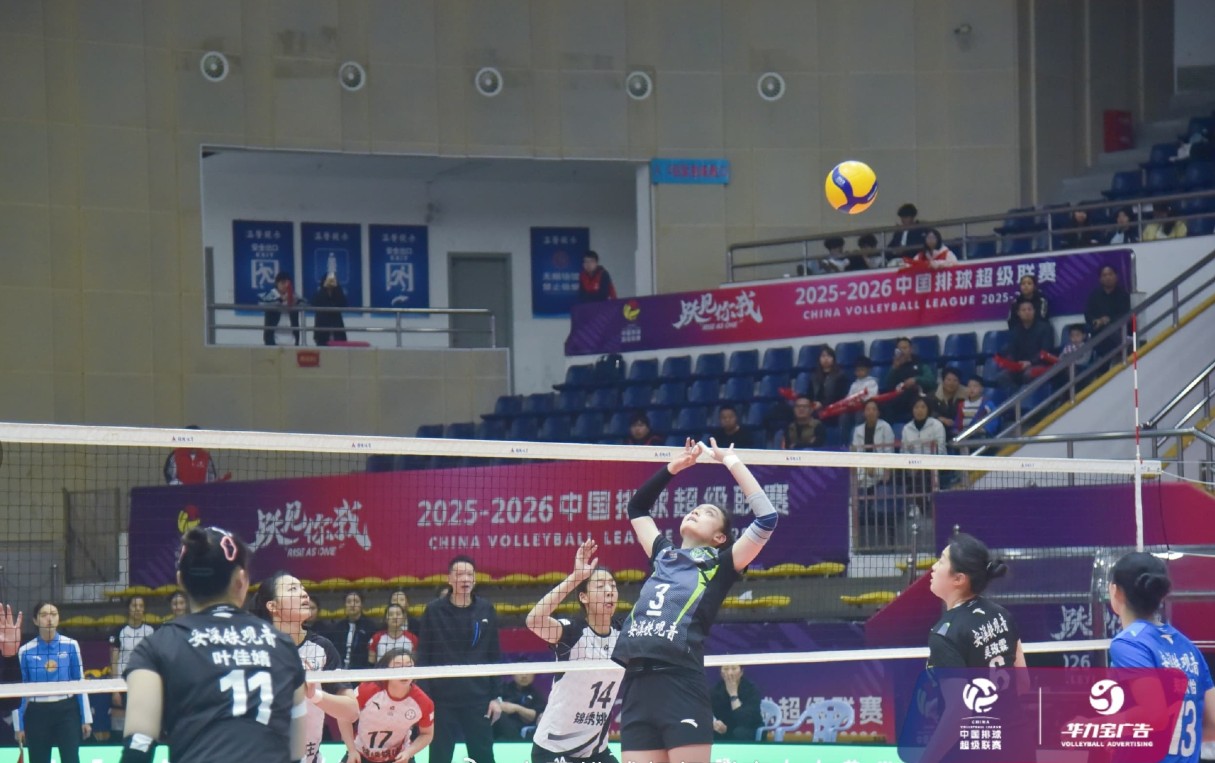 福建女排主攻_女排福建_