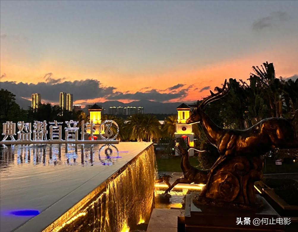 _医美注射玻尿酸_全脸玻尿酸视频